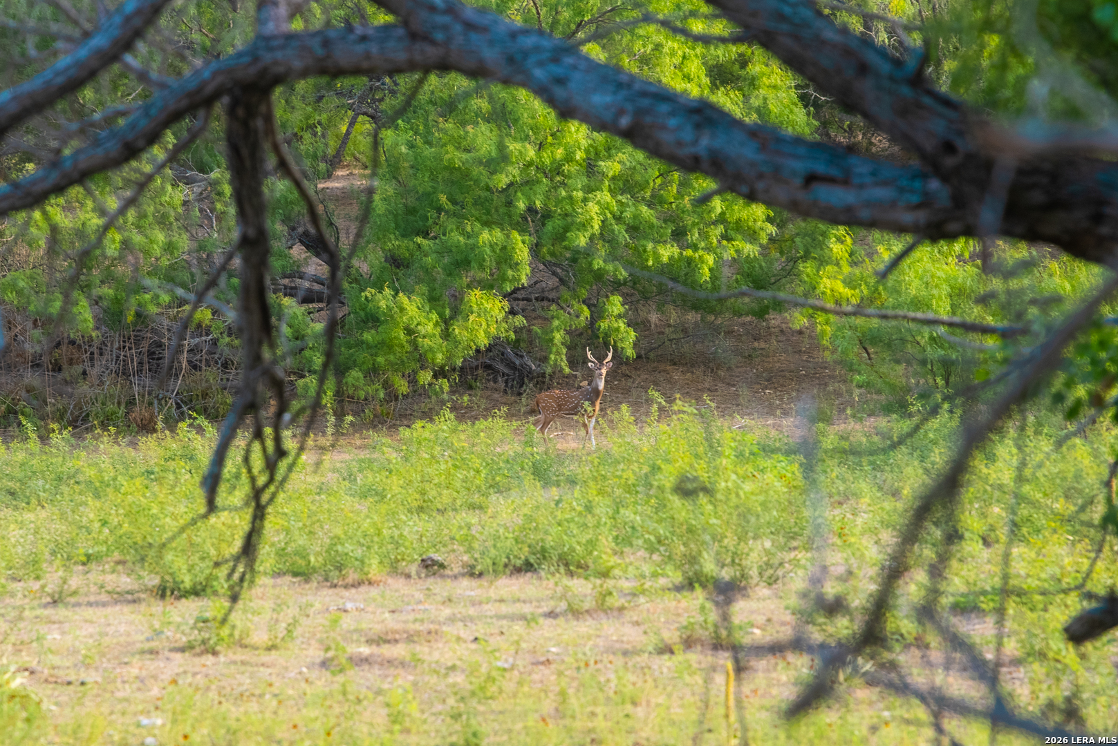 900 Thompson Road Kerrville TX 78028