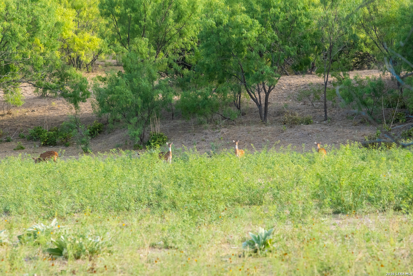 900 Thompson Road Kerrville TX 78028