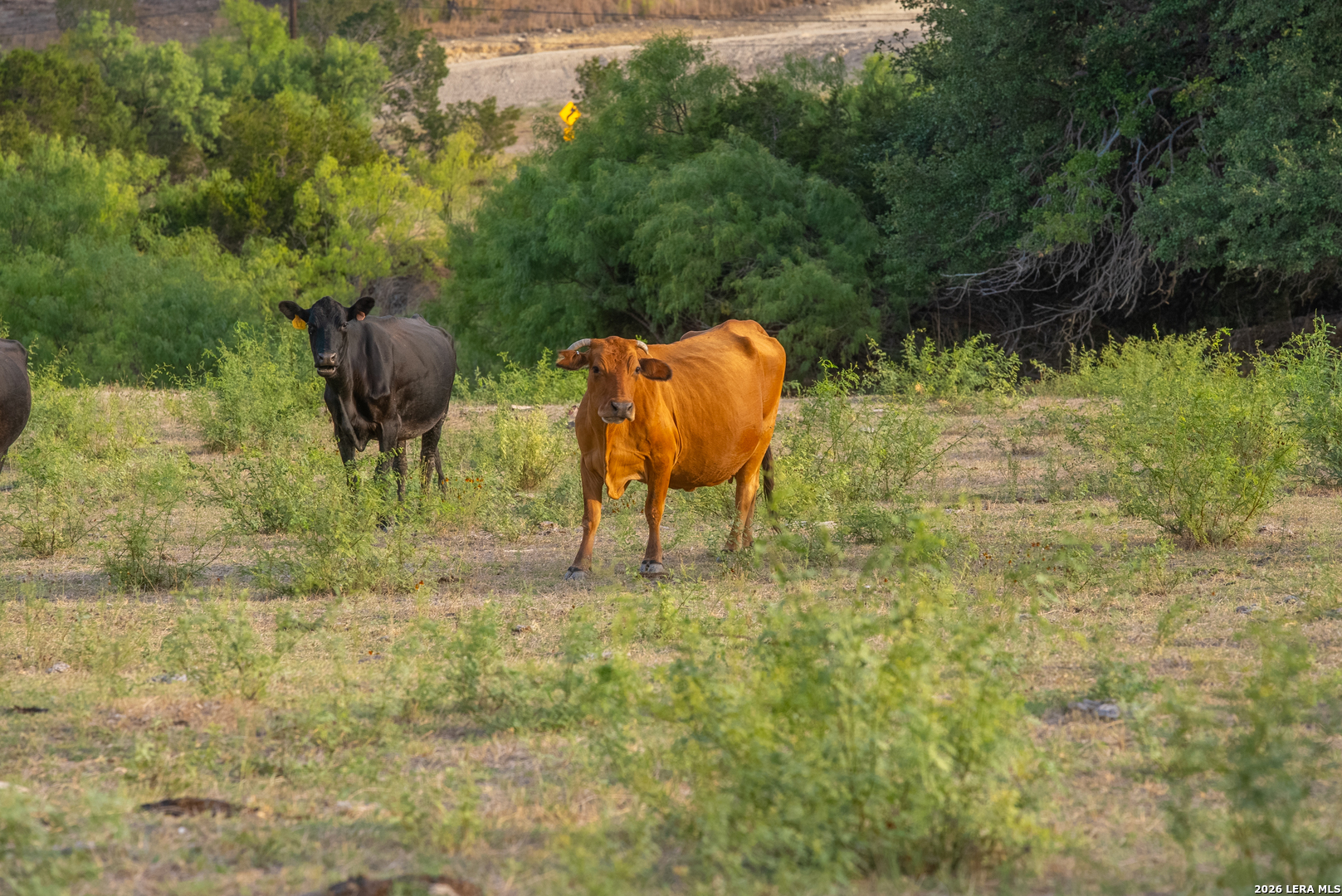 900 Thompson Road Kerrville TX 78028