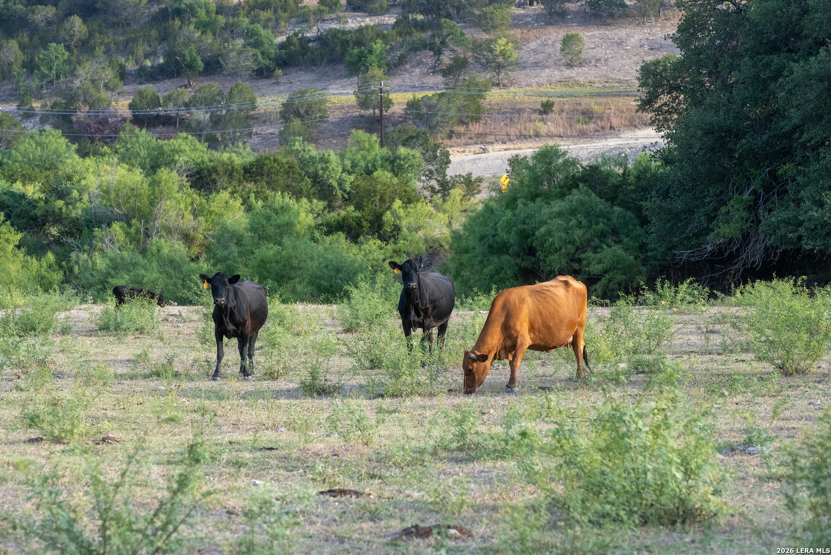 900 Thompson Road Kerrville TX 78028