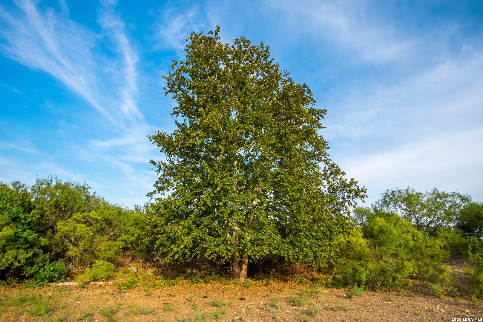 900 Thompson Road Kerrville TX 78028