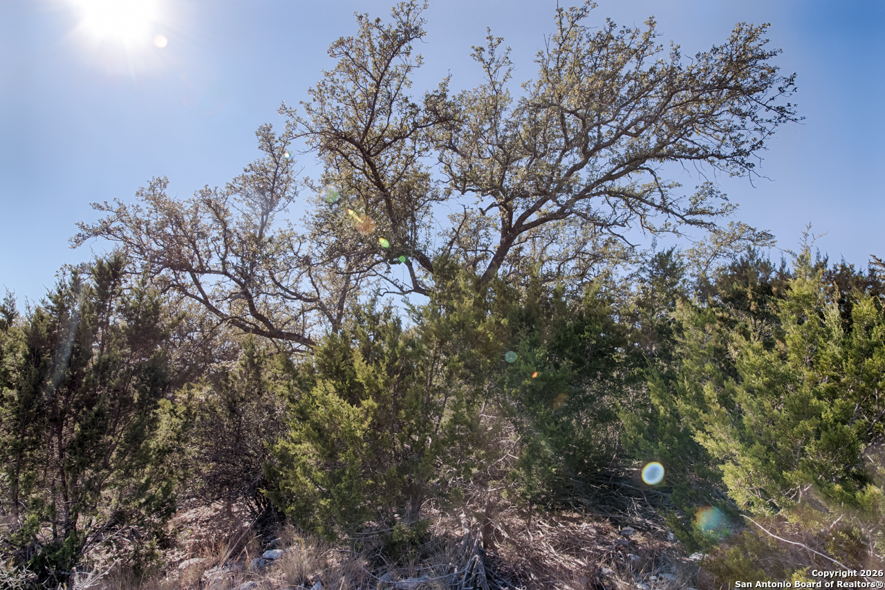 Lot 34 Spring Bluff Junction TX 76849