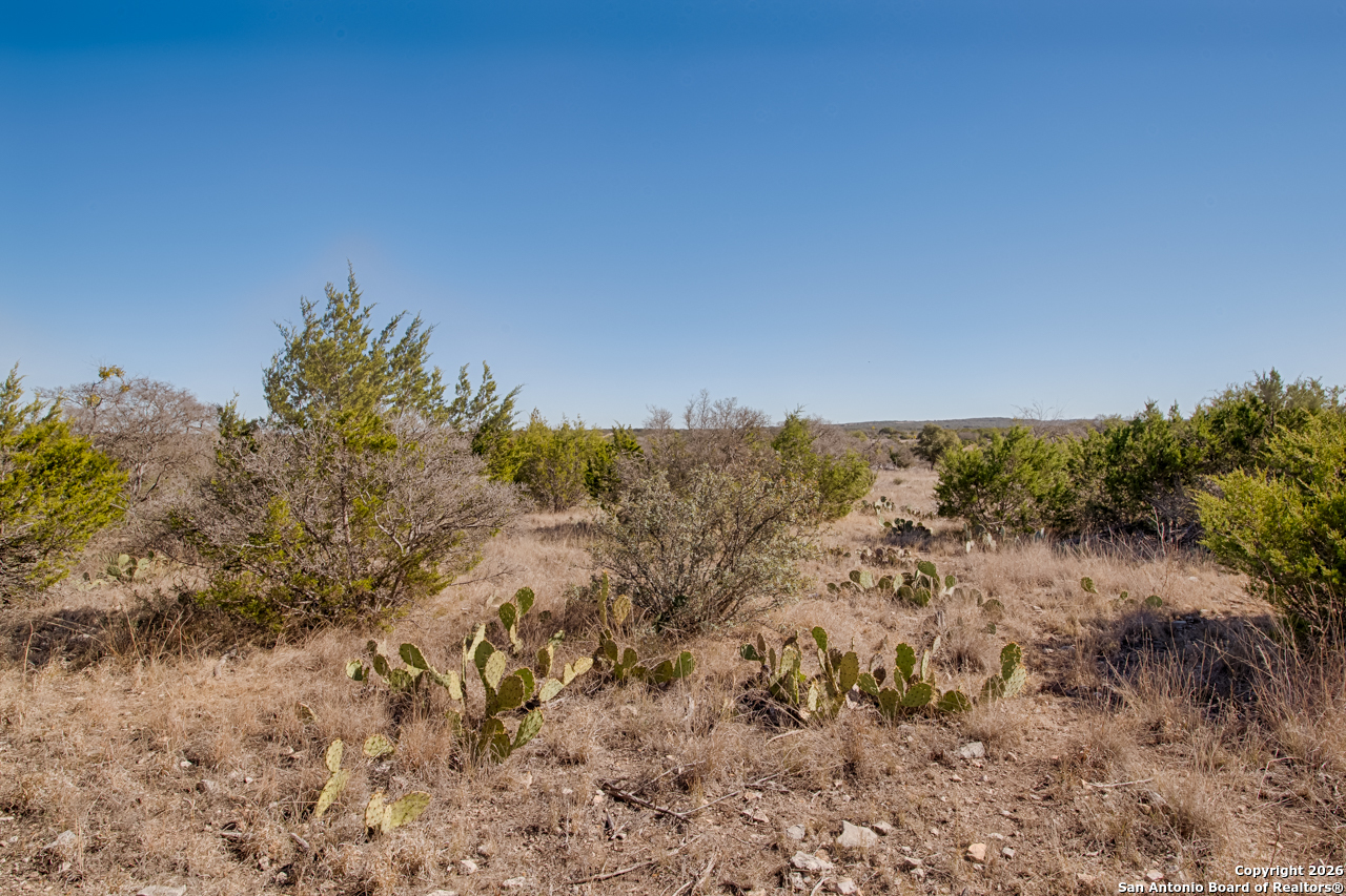 Lot 34 Spring Bluff Junction TX 76849