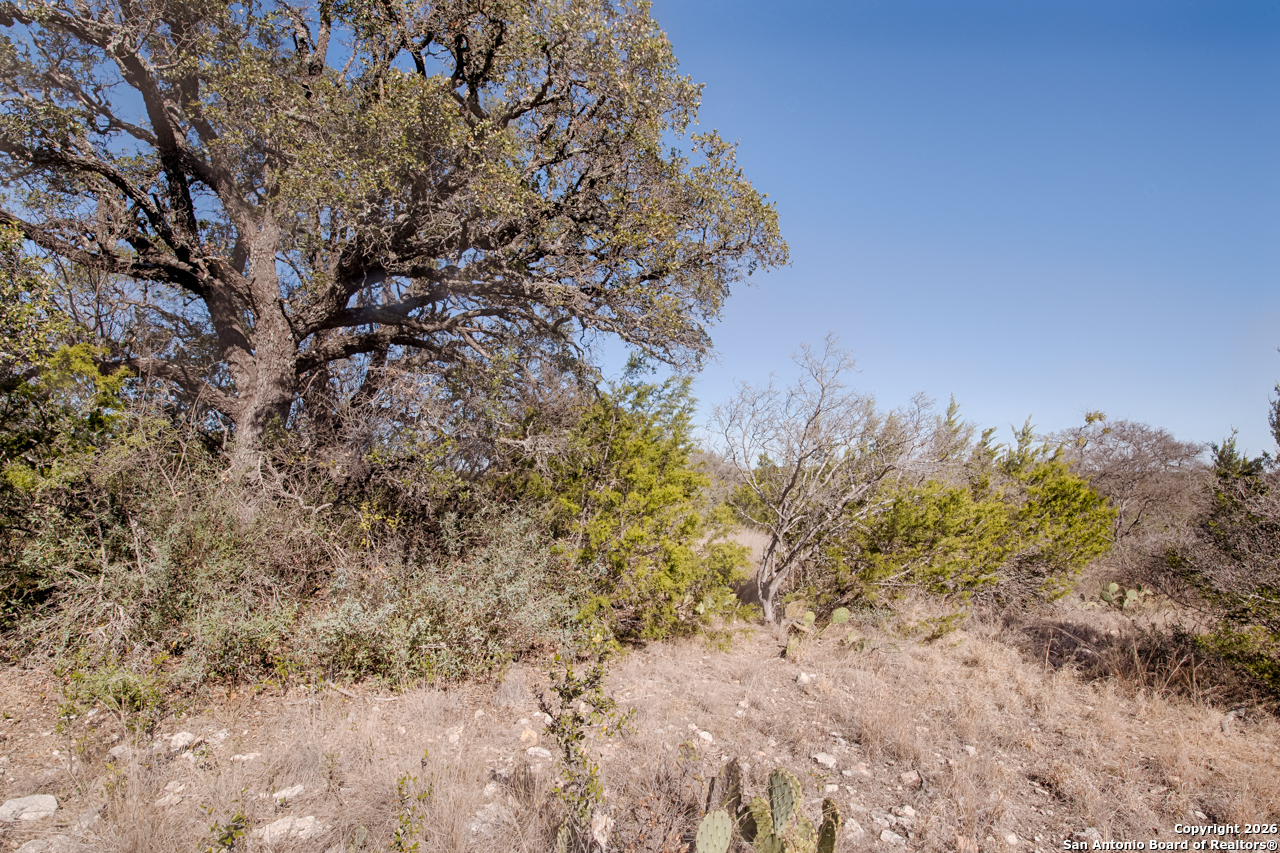 Lot 34 Spring Bluff Junction TX 76849
