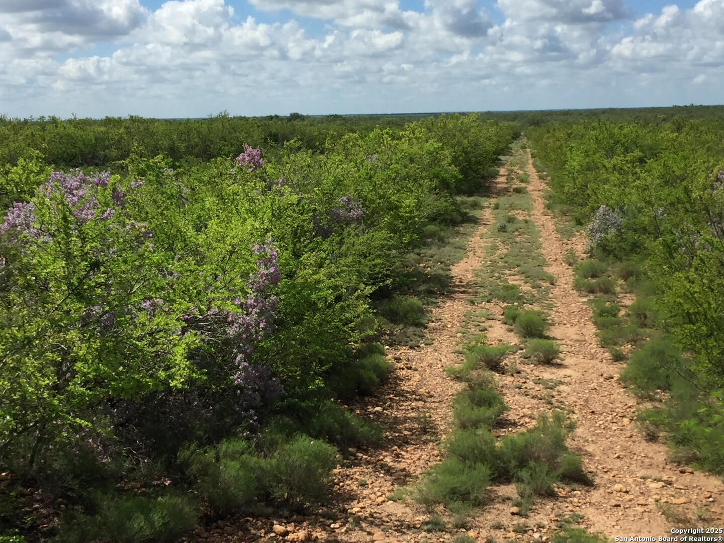 Tbd County Road 2410 Moore TX 78057