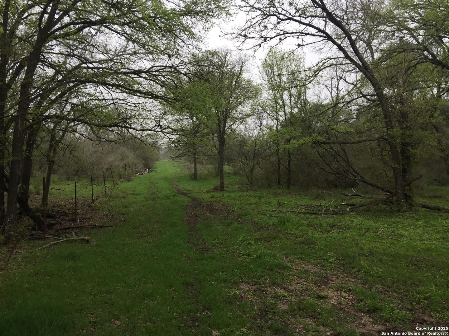 Tbd County Road 2410 Moore TX 78057