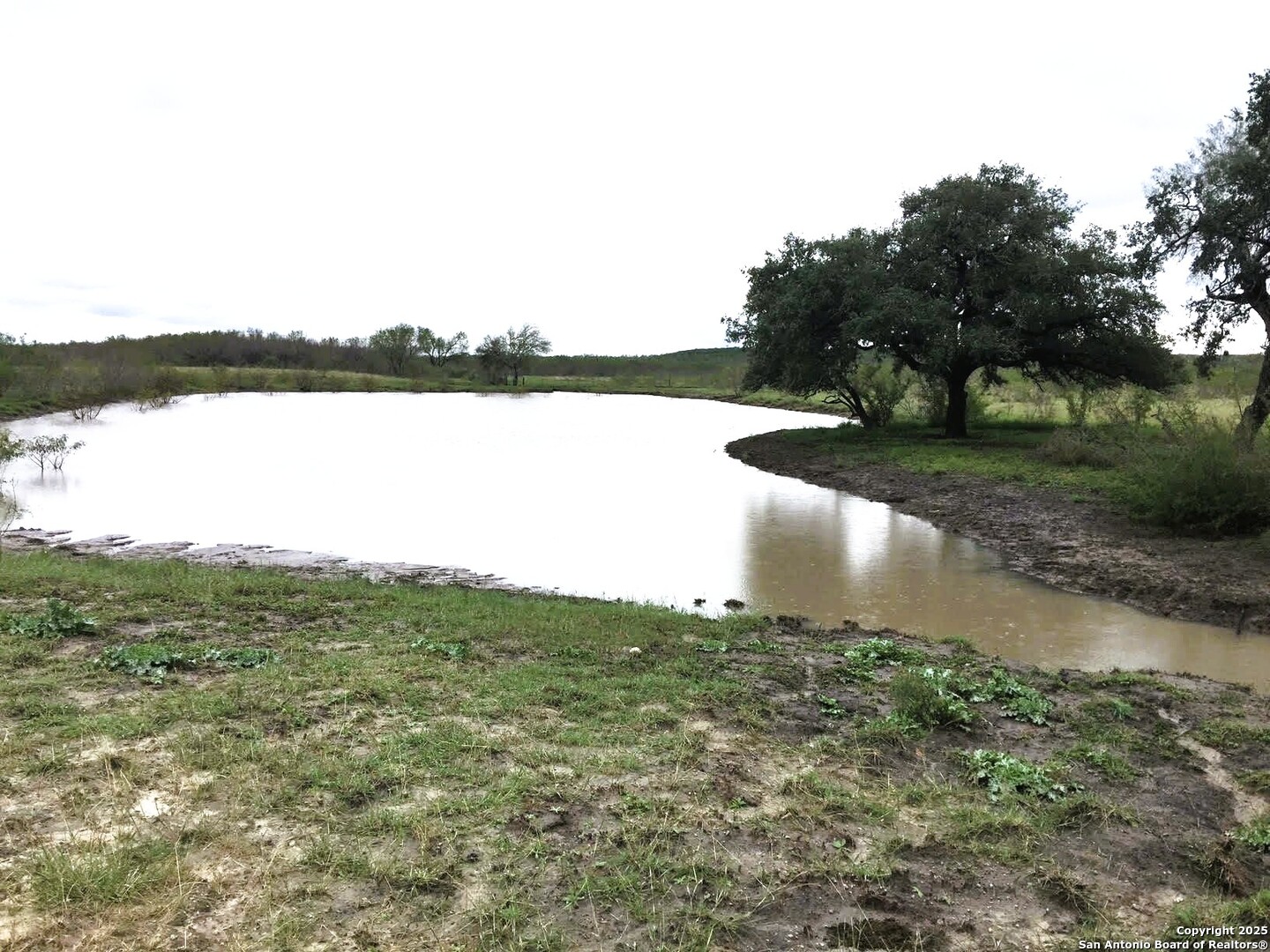 Tbd County Road 2410 Moore TX 78057