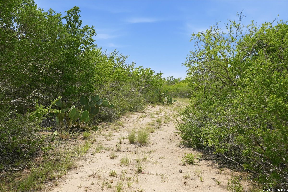 130 Choke Canyon Estates Three Rivers TX 78071