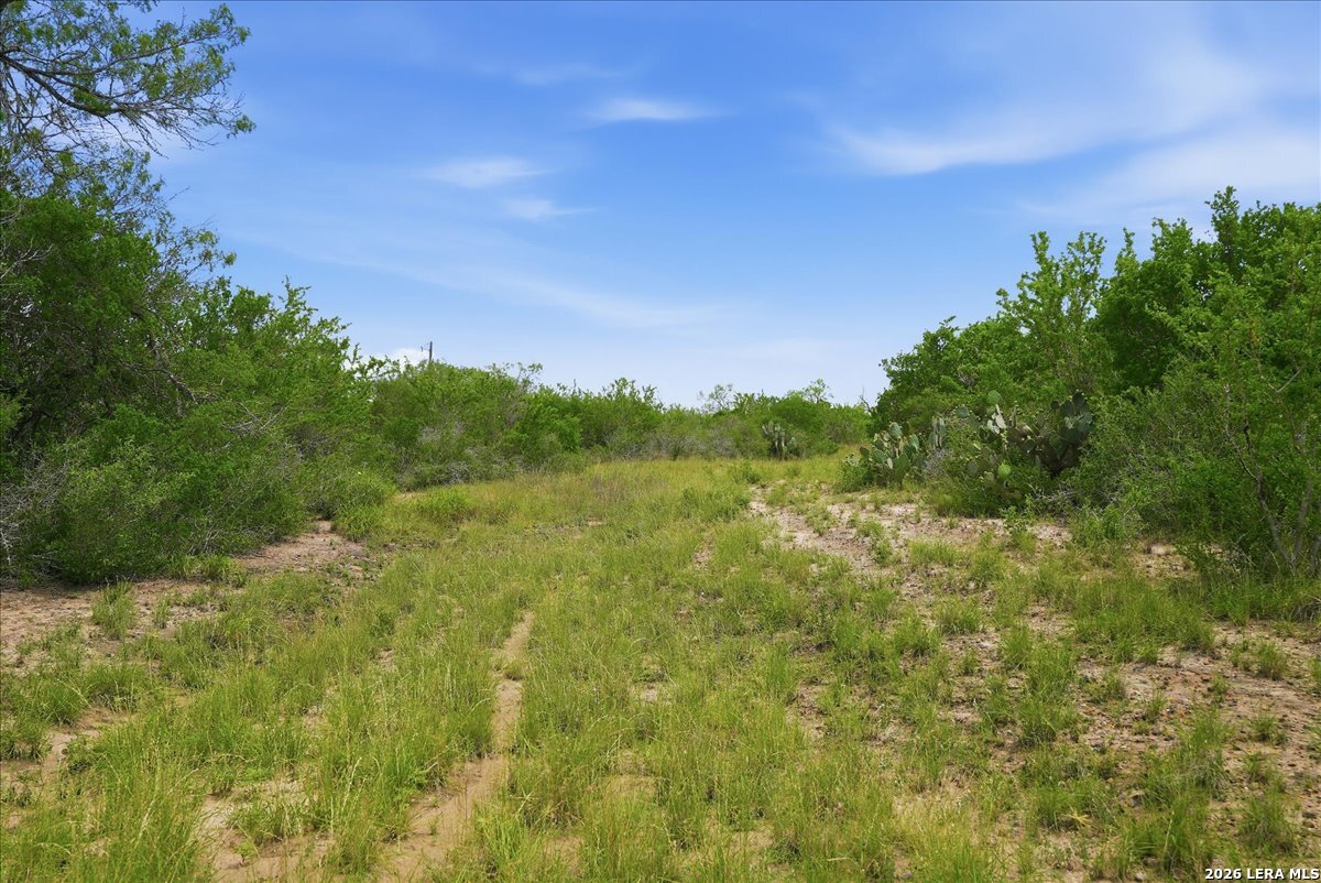 130 Choke Canyon Estates Three Rivers TX 78071