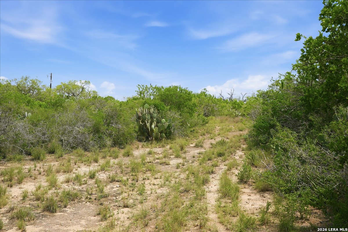 130 Choke Canyon Estates Three Rivers TX 78071
