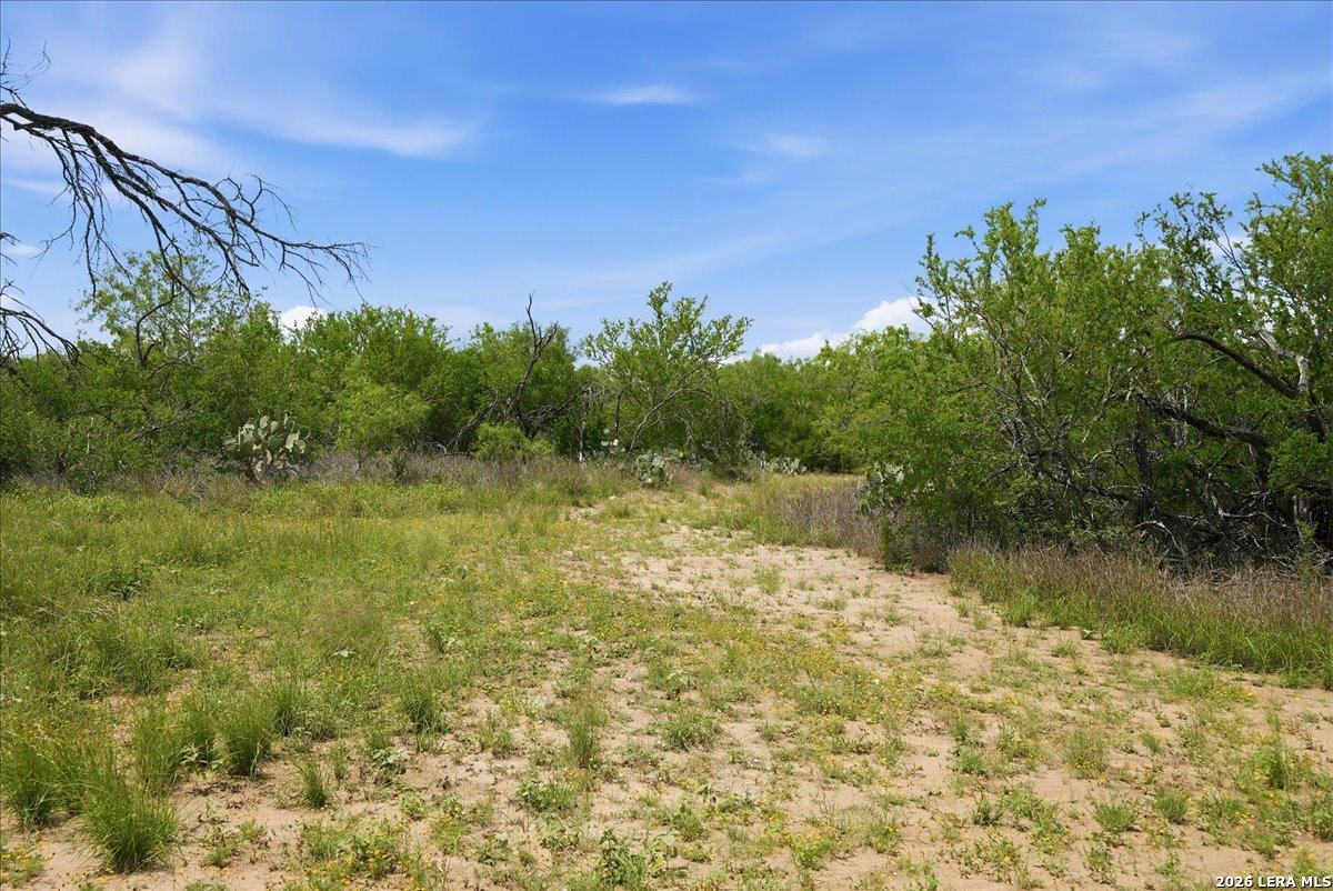 130 Choke Canyon Estates Three Rivers TX 78071