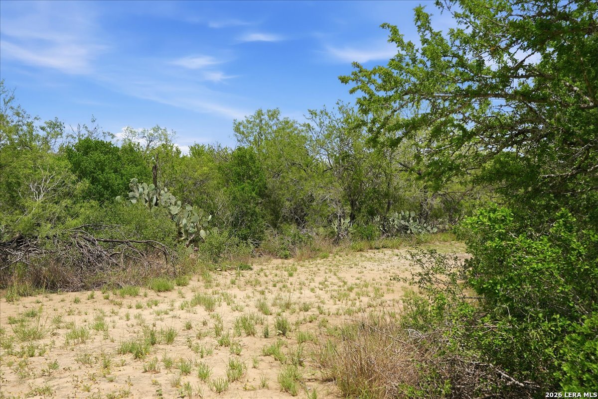 130 Choke Canyon Estates Three Rivers TX 78071