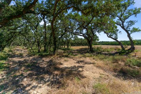 1131 Adyson Ridge Bulverde TX 78163