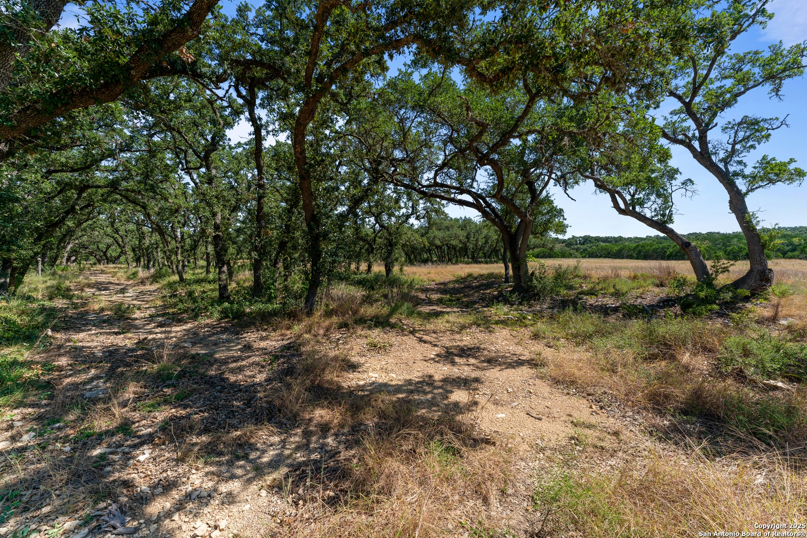 1131 Adyson Ridge Bulverde TX 78163
