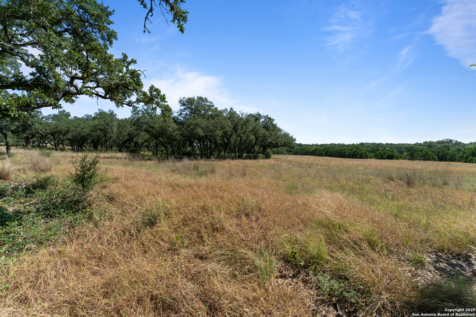 1131 Adyson Ridge Bulverde TX 78163