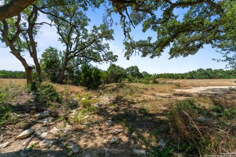 1131 Adyson Ridge Bulverde TX 78163