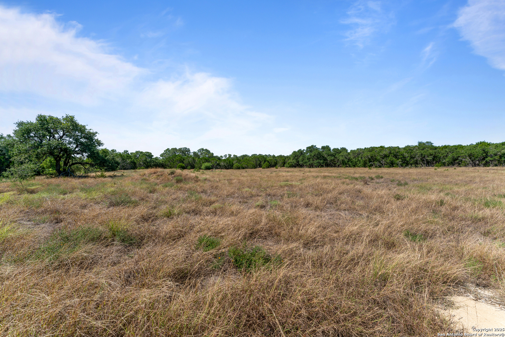 1131 Adyson Ridge Bulverde TX 78163