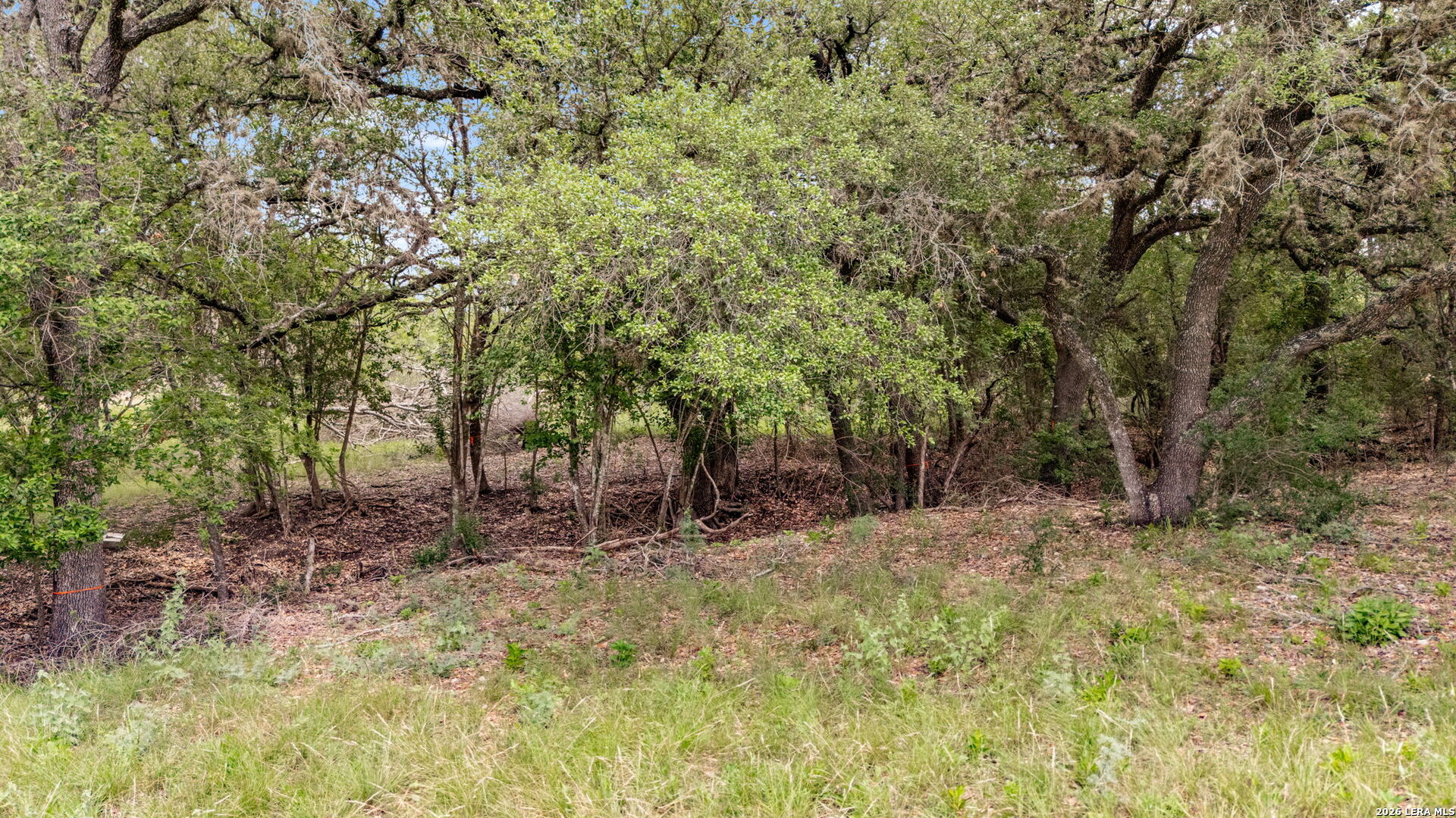 Lot 1 River Bluff Castroville TX 78009
