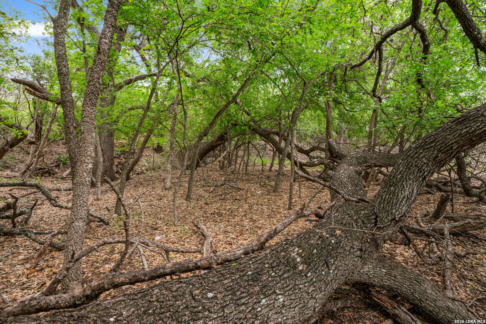 Lot 1 River Bluff Castroville TX 78009