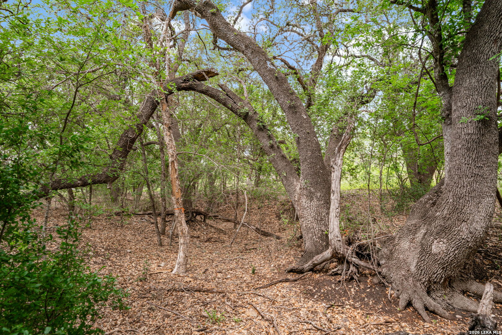 Lot 1 River Bluff Castroville TX 78009