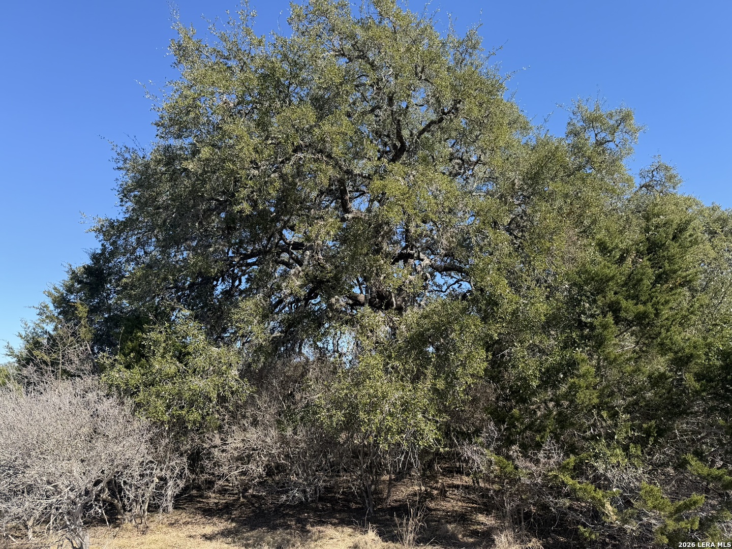 Lot 76 Horseshoe Bandera TX 78003