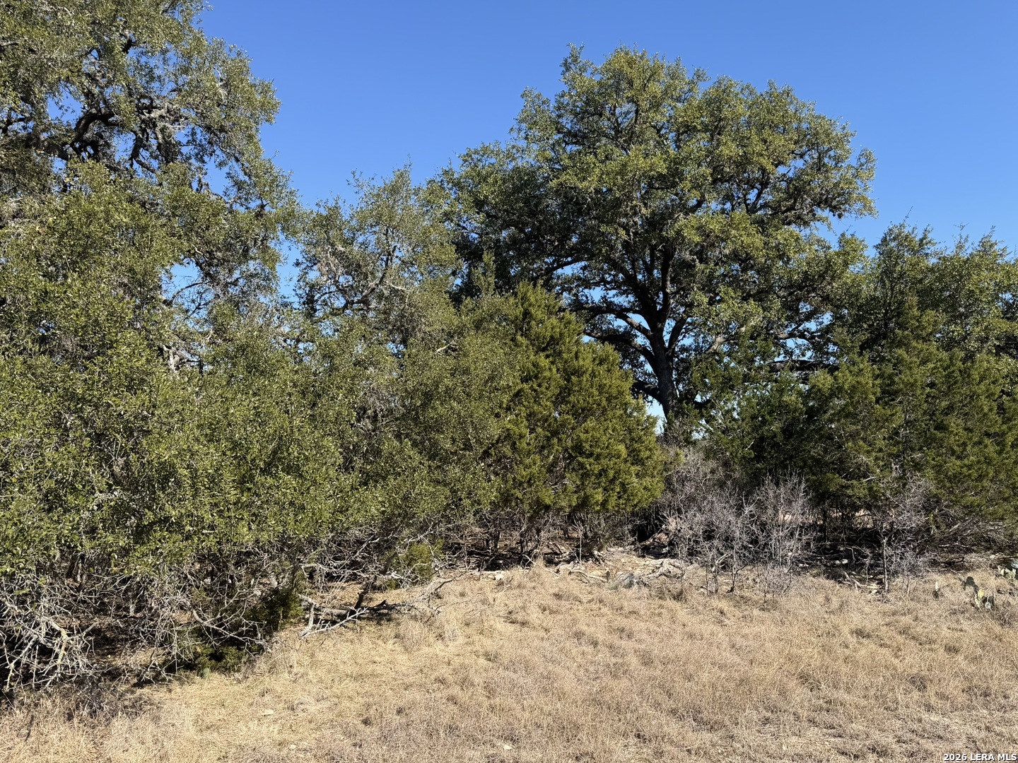 Lot 76 Horseshoe Bandera TX 78003