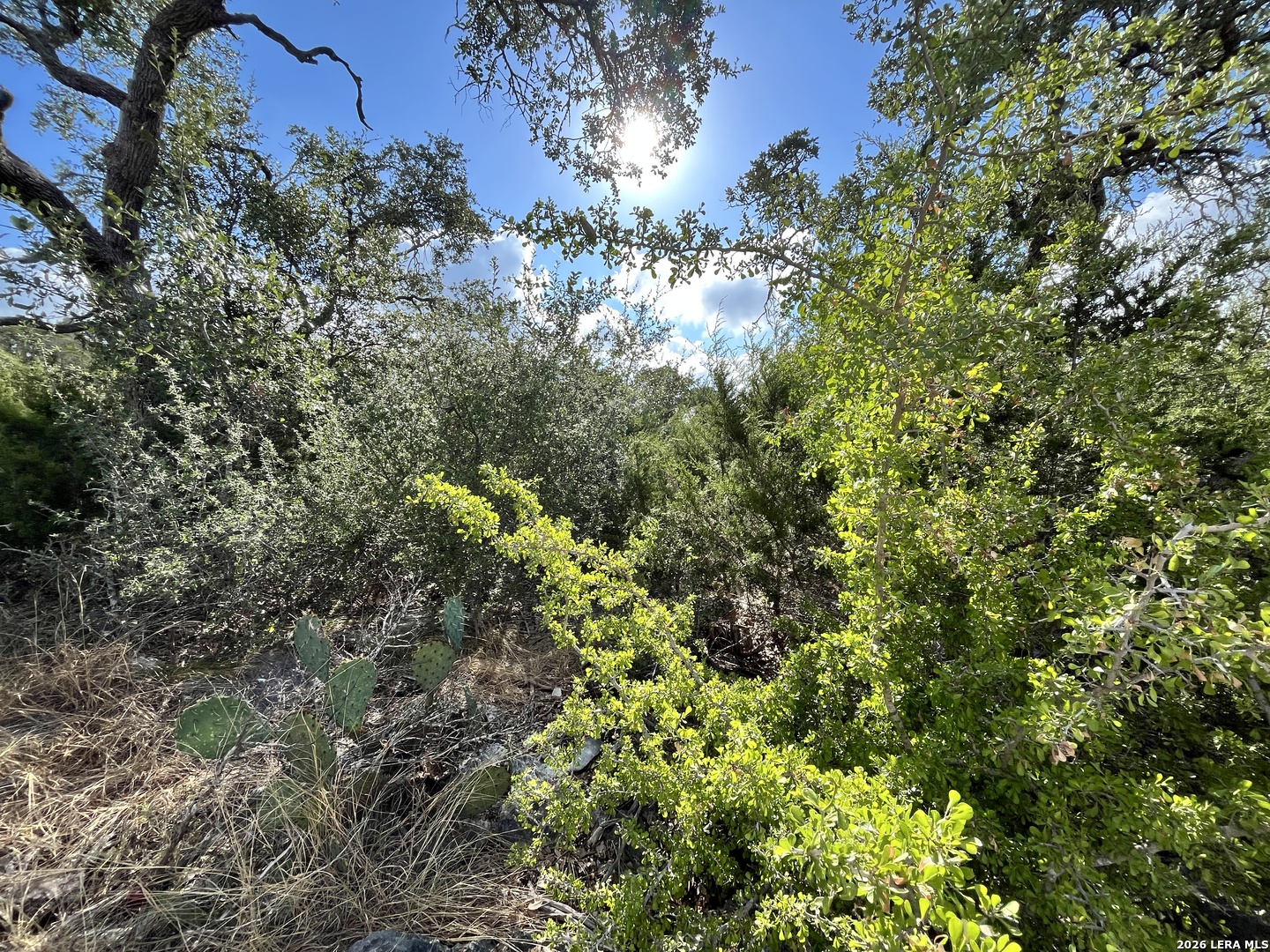 5806 Copper Valley New Braunfels TX 78132