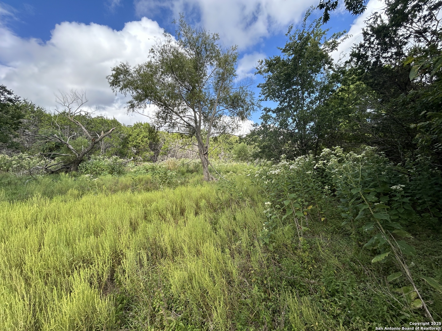 135 Marshall Kerrville TX 78028