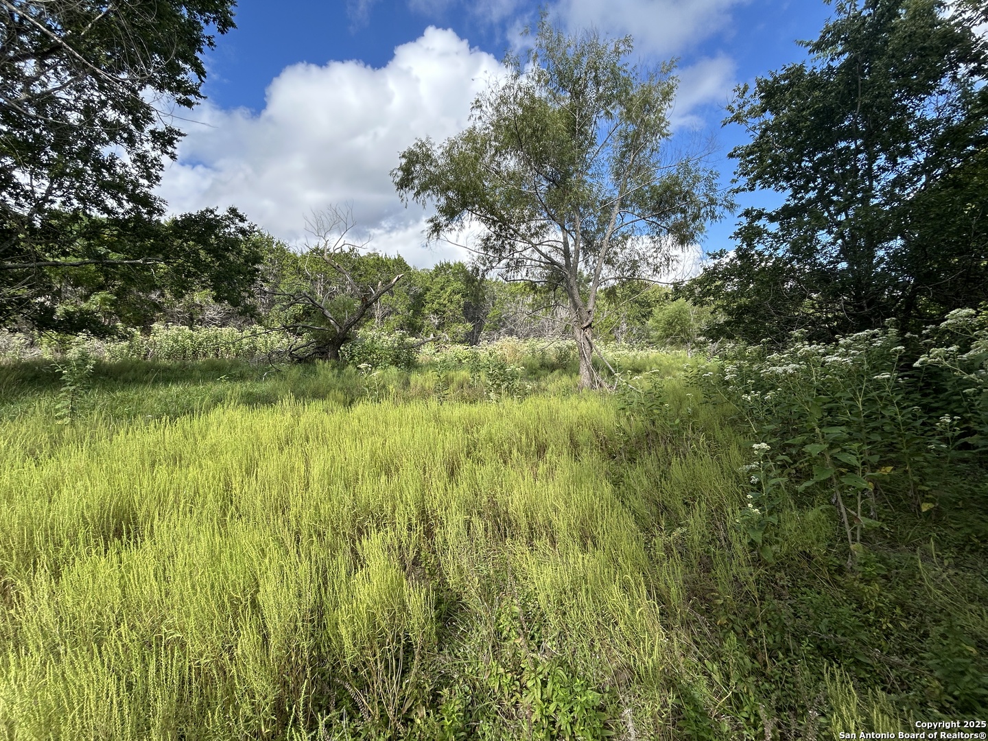135 Marshall Kerrville TX 78028