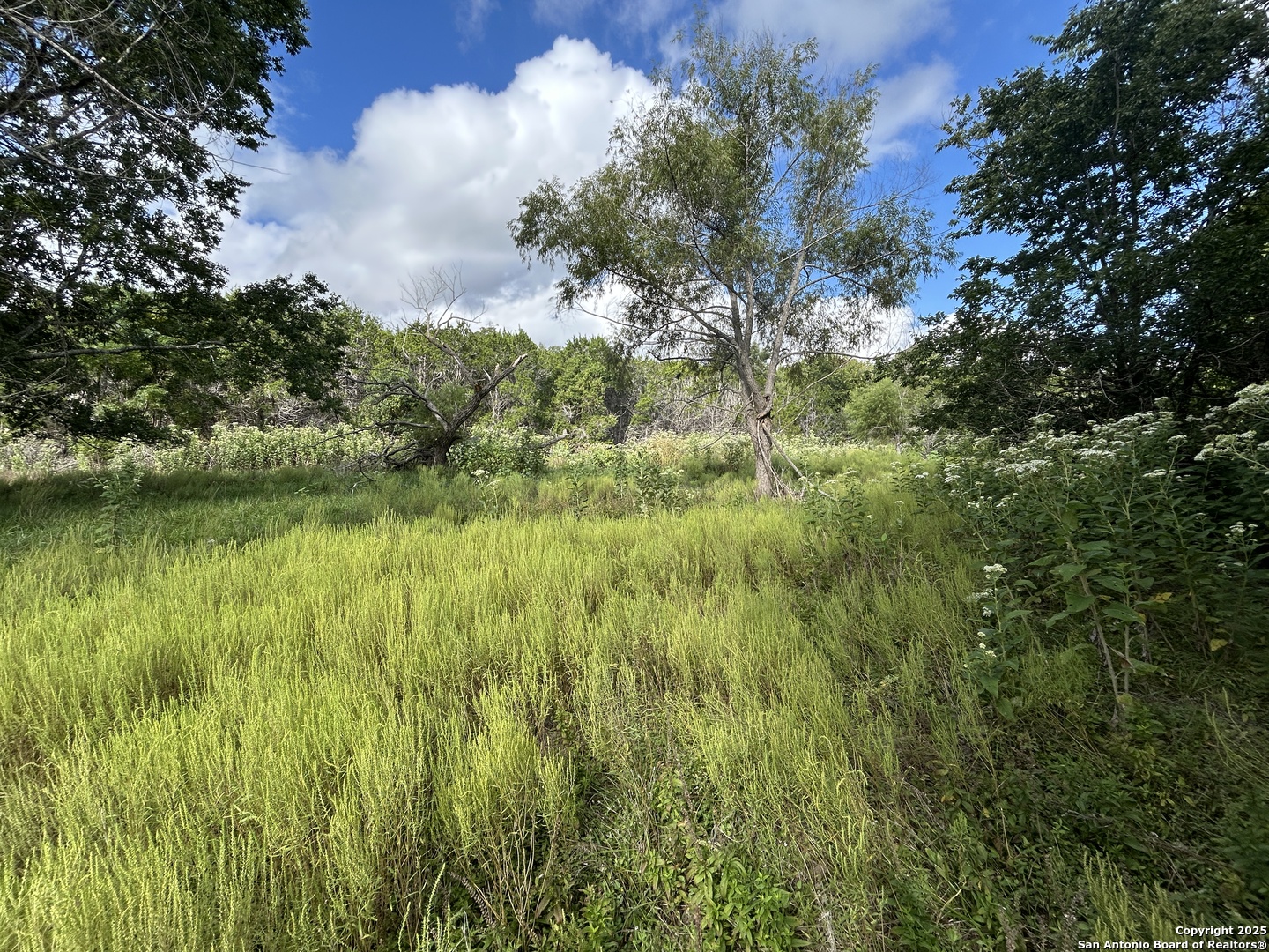 135 Marshall Kerrville TX 78028