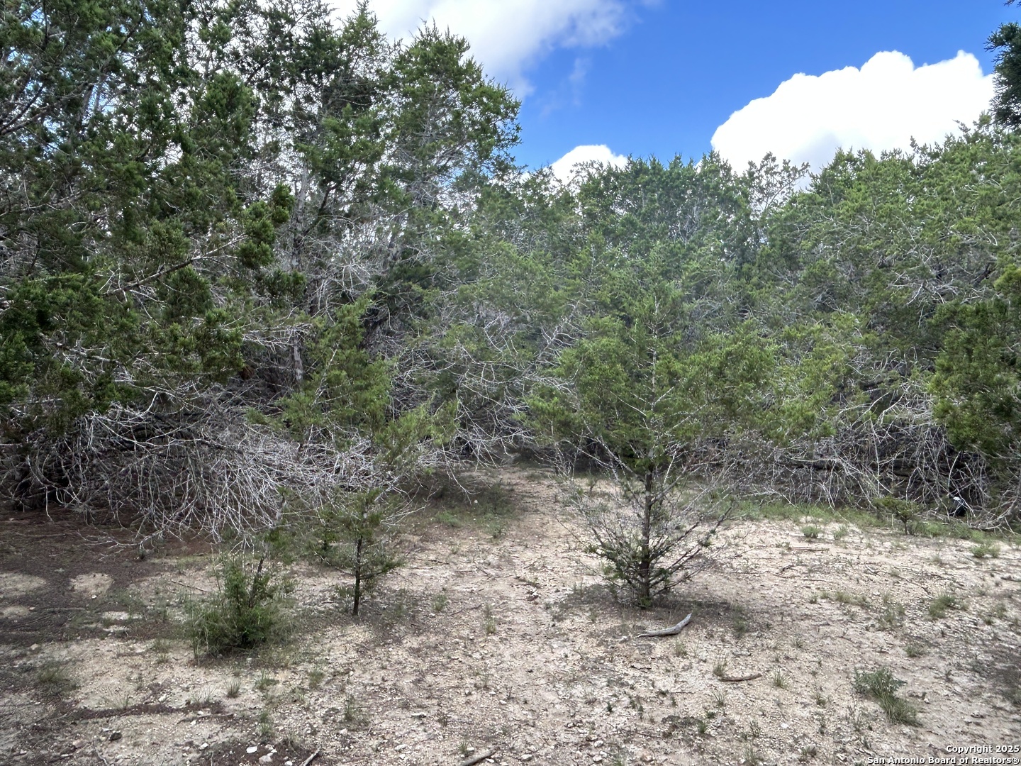 135 Marshall Kerrville TX 78028