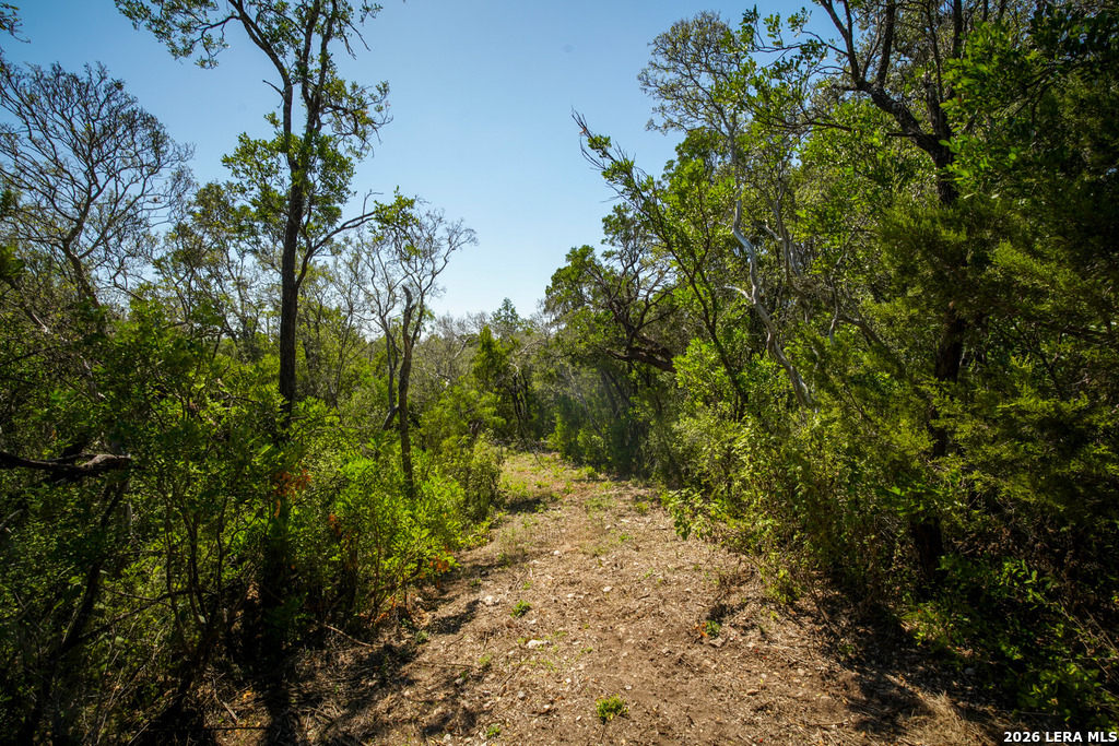 Tbd, Lot #03, County Road 2801 Mico TX 78056