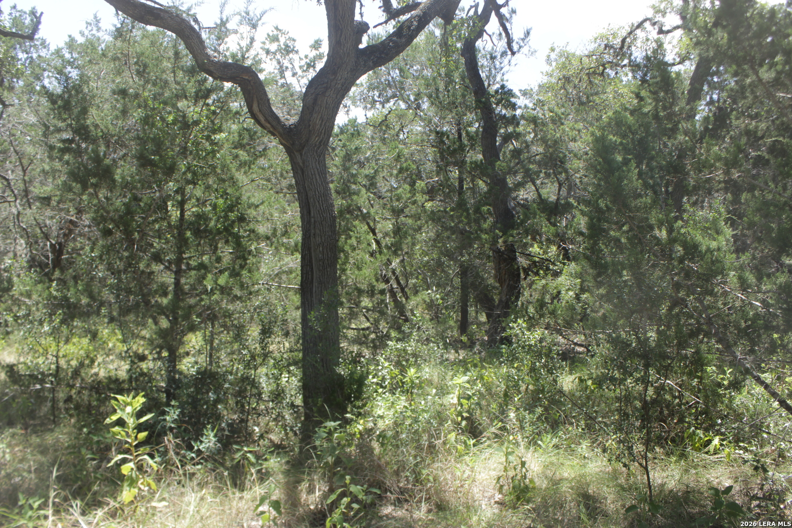 147 Big Shades Road Concan TX 78838