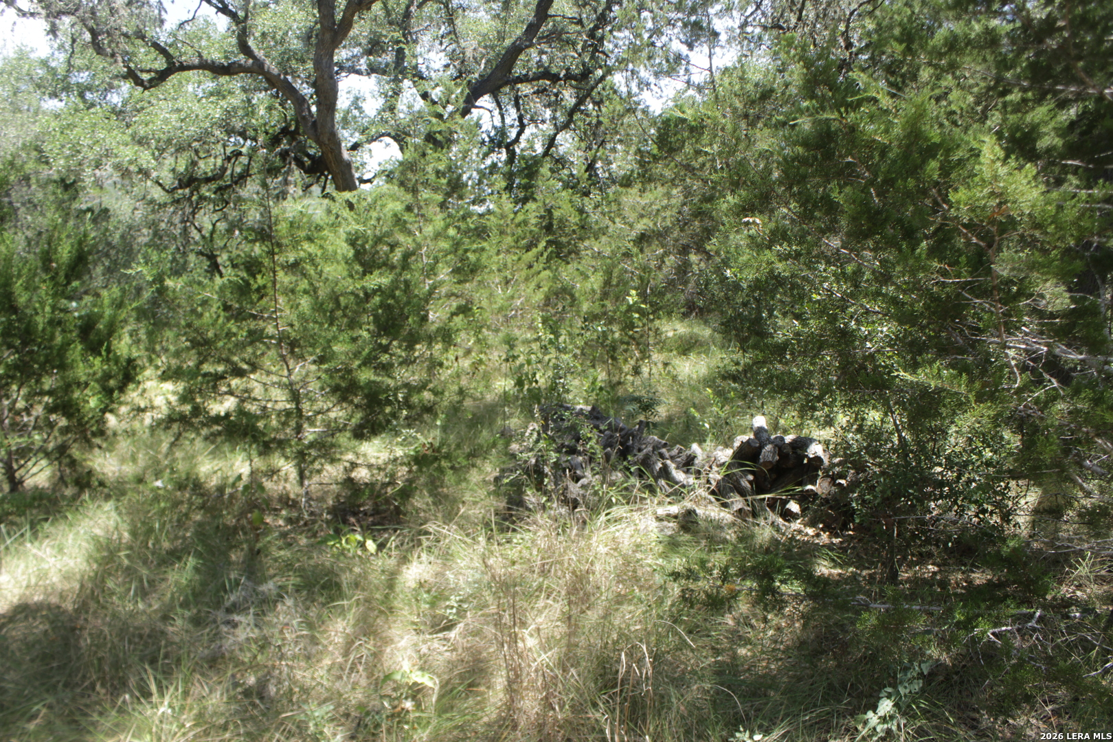 147 Big Shades Road Concan TX 78838