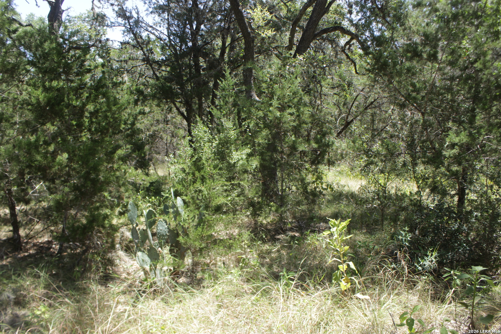 147 Big Shades Road Concan TX 78838