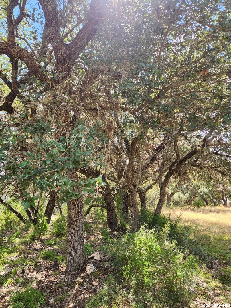 Lot 50-51 Pr 1524 Bandera TX 78003