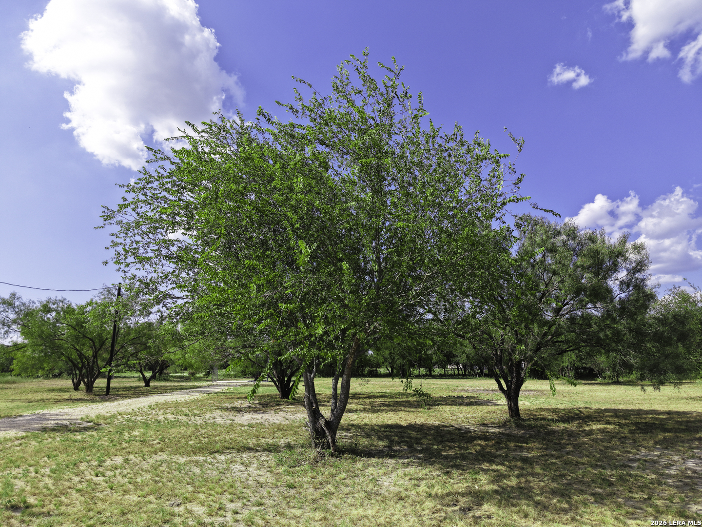 Hwy 55 Pvt Uvalde TX 78801