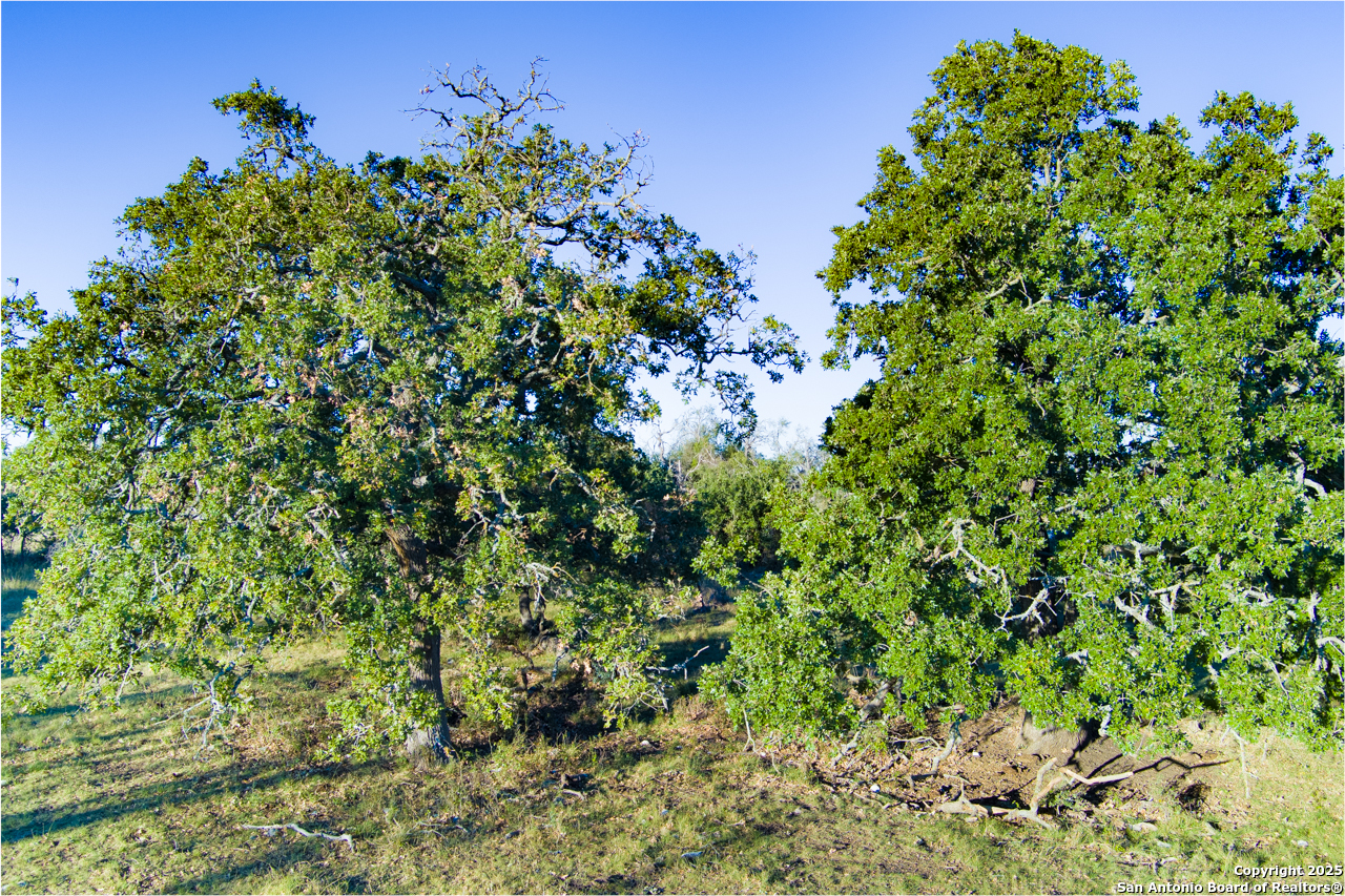Xx Doss Spring Creek Road Fredericksburg TX 78624
