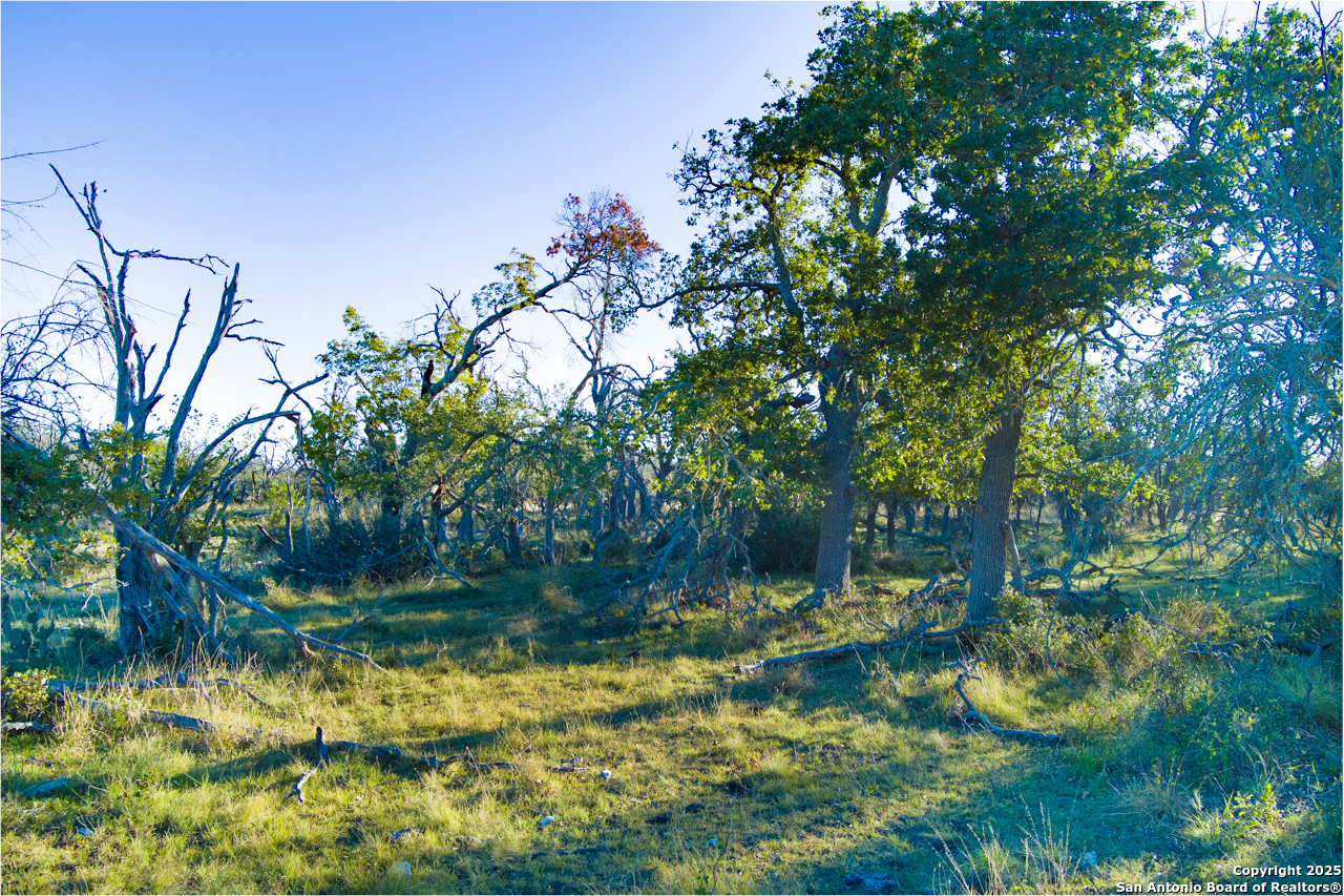 Xx Doss Spring Creek Road Fredericksburg TX 78624