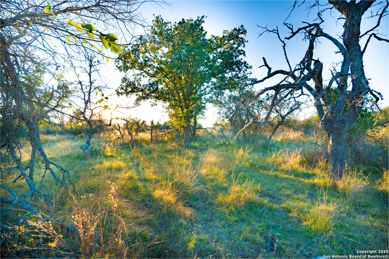 Xx Doss Spring Creek Road Fredericksburg TX 78624
