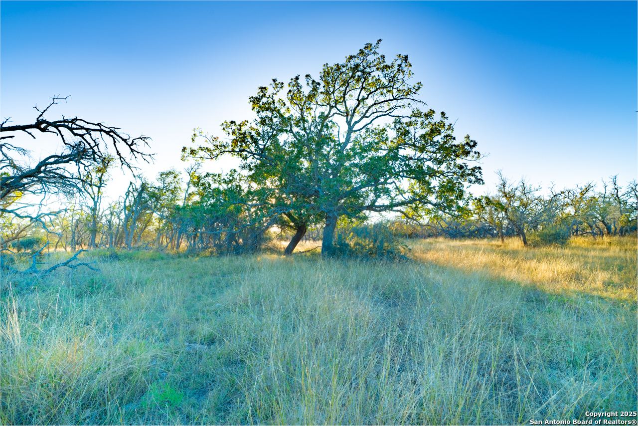 Xx Doss Spring Creek Road Fredericksburg TX 78624