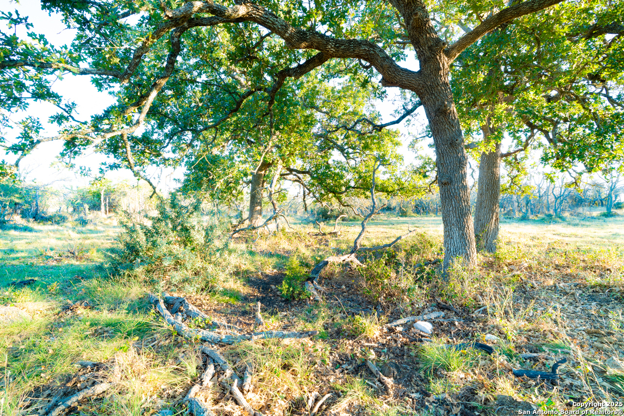 Xx Doss Spring Creek Road Fredericksburg TX 78624
