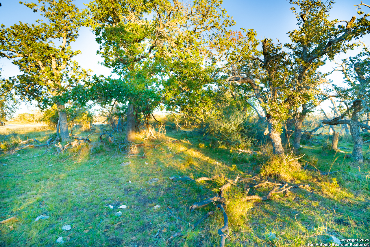 Xx Doss Spring Creek Road Fredericksburg TX 78624