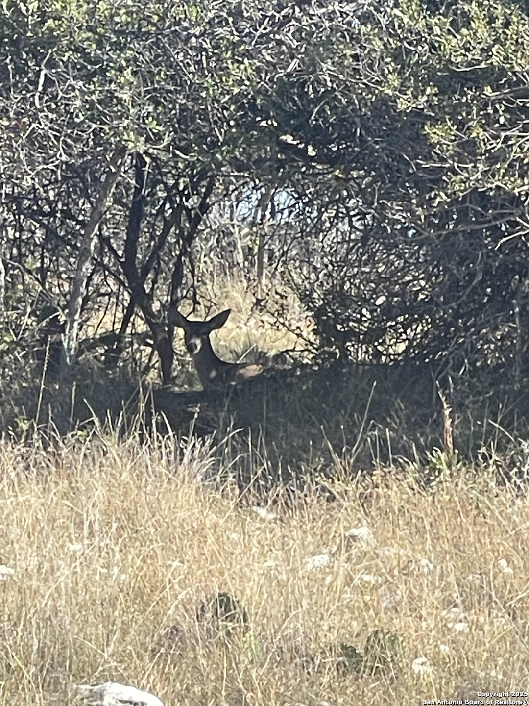 Xx Doss Spring Creek Road Fredericksburg TX 78624