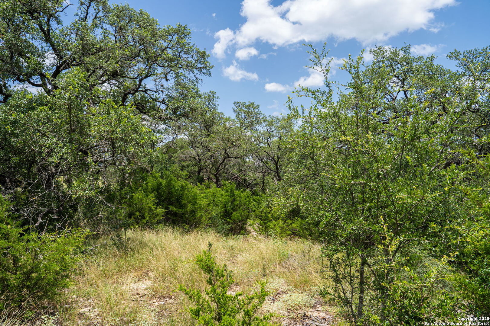 425 Copper Crest New Braunfels TX 78132