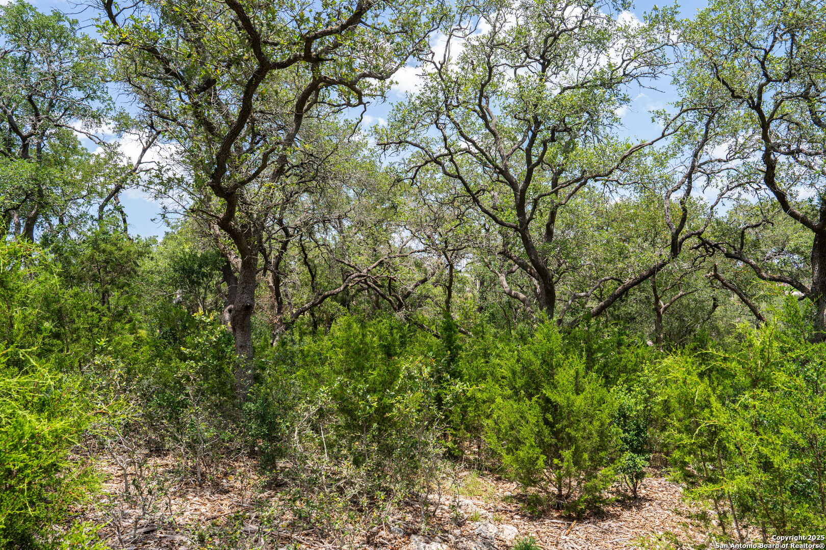 425 Copper Crest New Braunfels TX 78132