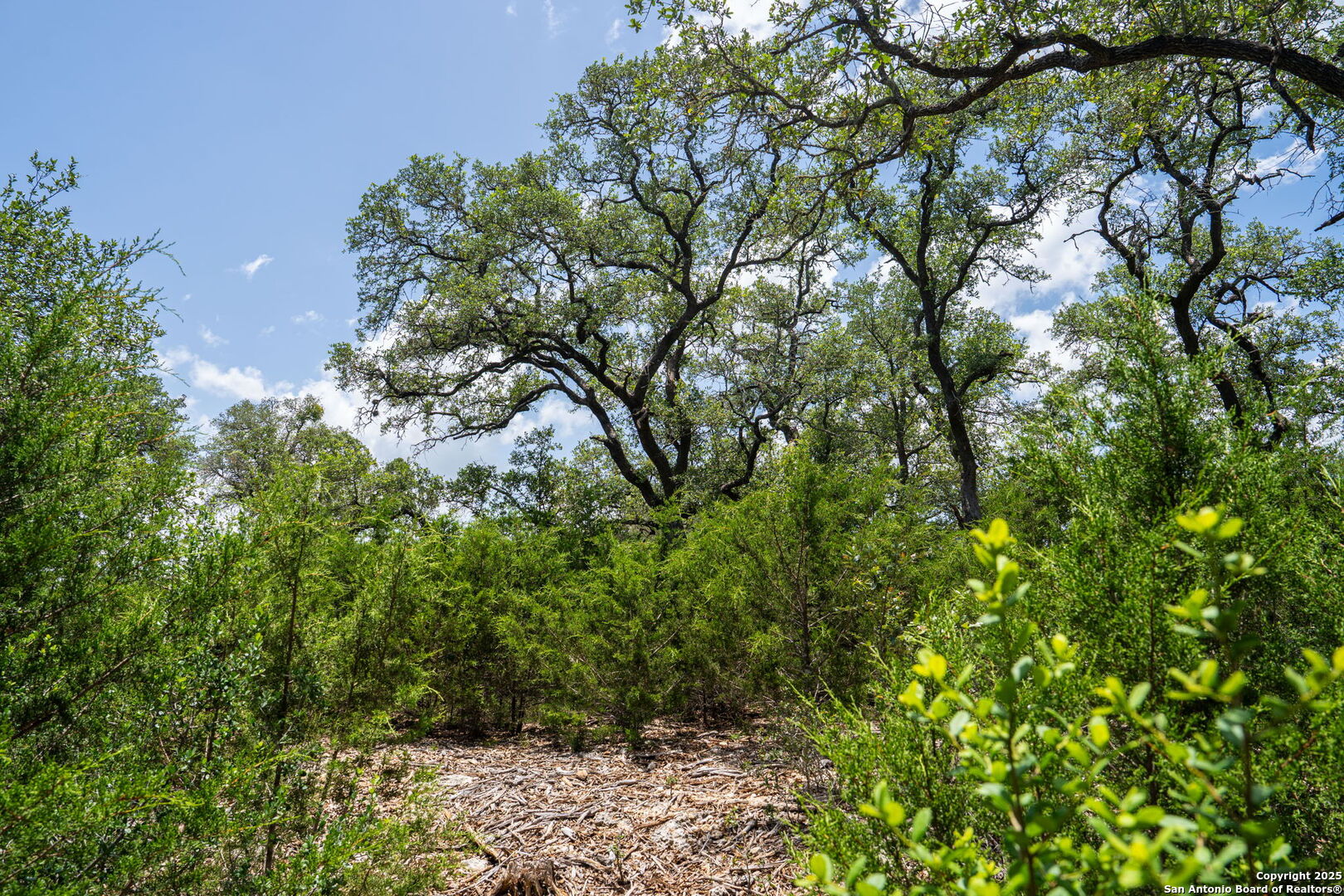 425 Copper Crest New Braunfels TX 78132