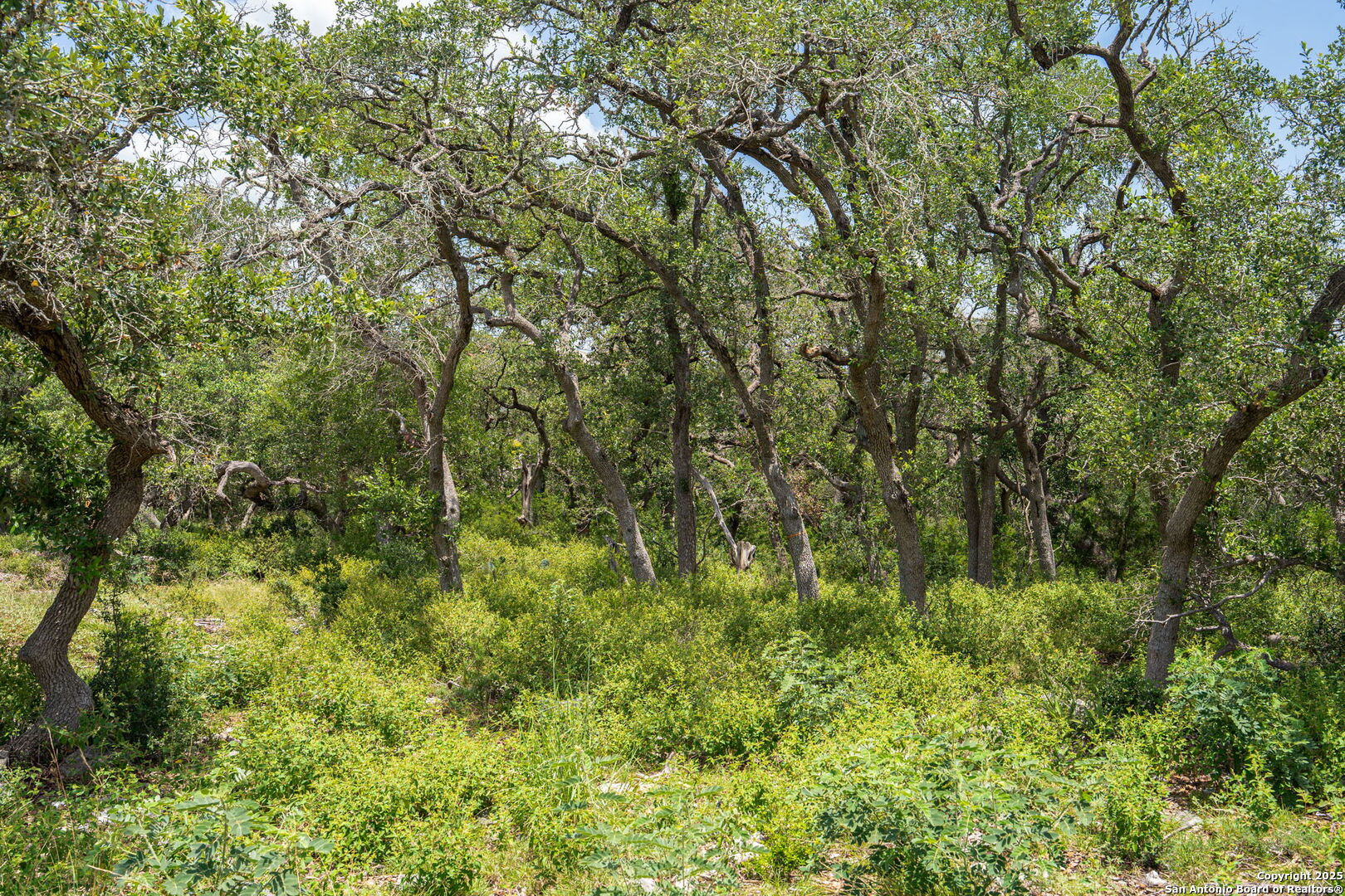 425 Copper Crest New Braunfels TX 78132