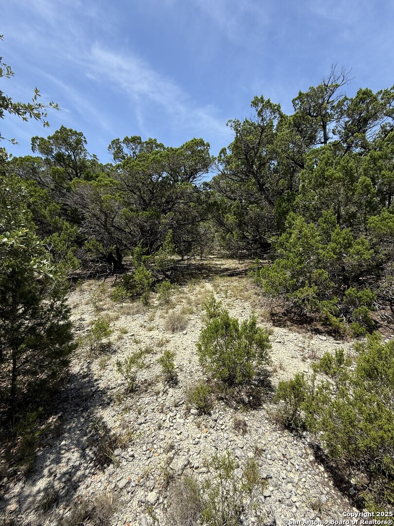 26709 Turkey Run Boerne TX 78006