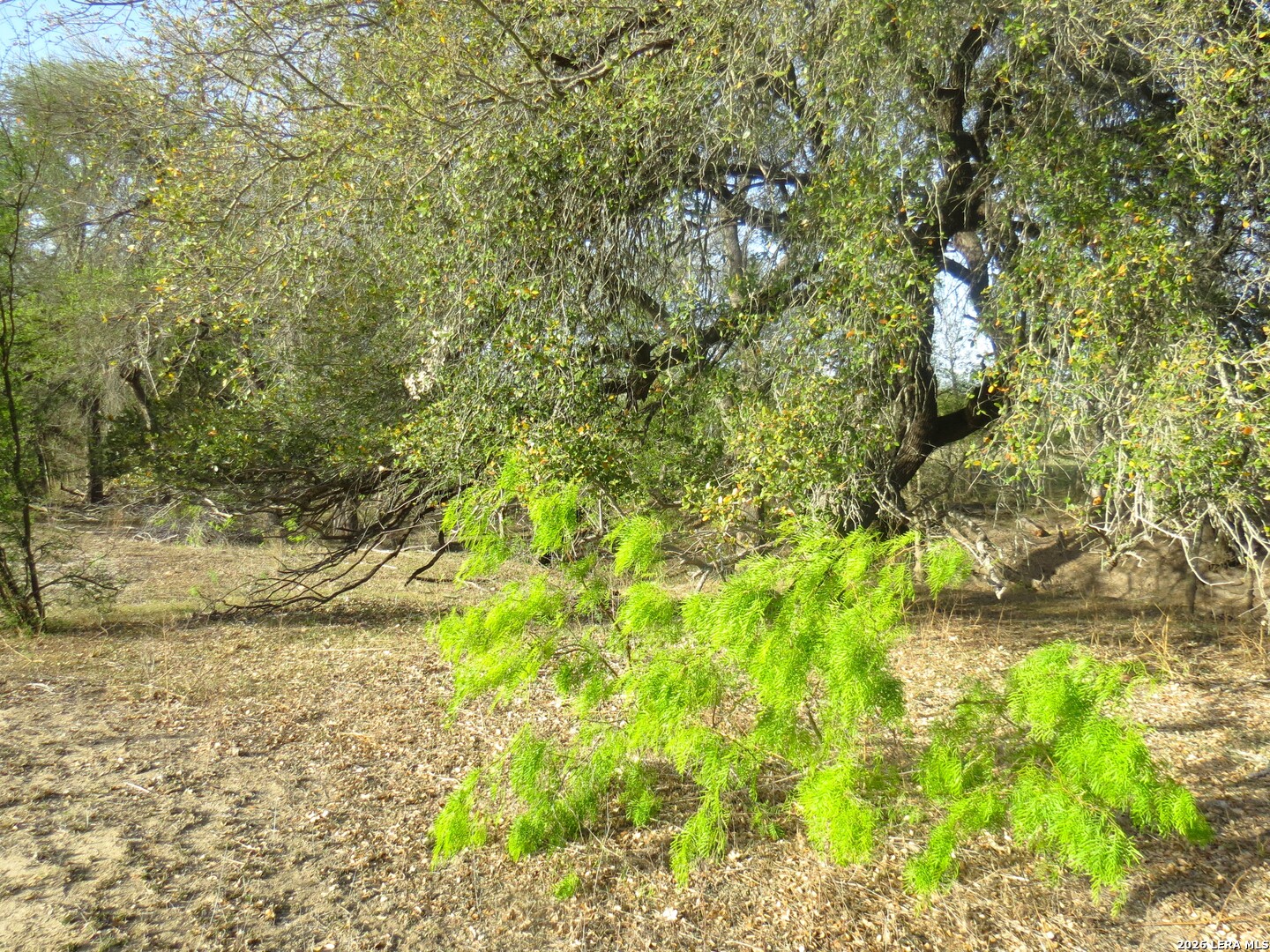 Tbd Fm 471 Natalia TX 78059